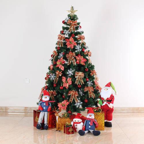 带我回去过圣诞节